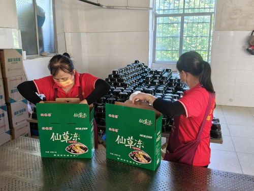 年順食品廠 守護贛南餐桌安全，共筑健康生活新未來